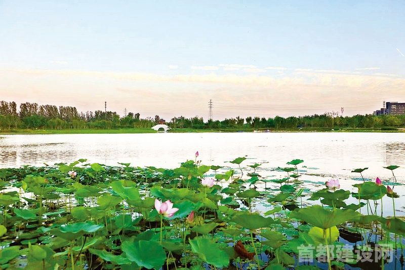 城市绿心森林公园实现碳中和 首都建设网