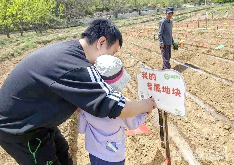 “第一书记”带领村民兴办的家庭农场现场