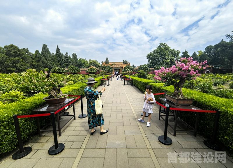 第十五届精品盆景展现场