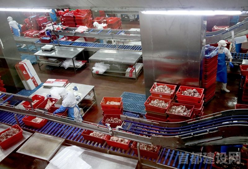二商肉食集团通州公司肉制品生产加工线